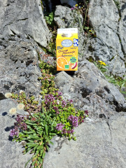 Mit der leckeren Fruchtbuttermilch wandern am Spitzingsee