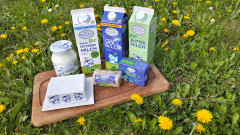 unsere lieblings Produkte 