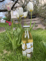 Was wächst denn da?