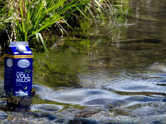 Milch im Bach