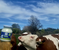 Ich steh auf diesen Joghurt