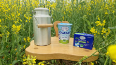 Der beliebte Joghurt und Butter im Rapsfeld